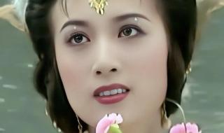 广场舞孔雀公主背面 广场舞孔雀公主背面