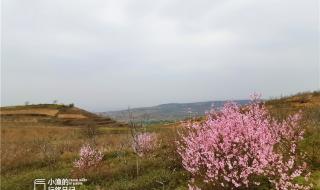 西安周边自驾一日游 西安周边自驾一日游