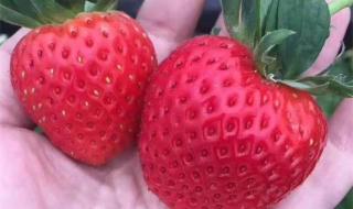 榆林长途汽车站 榆林长途汽车站