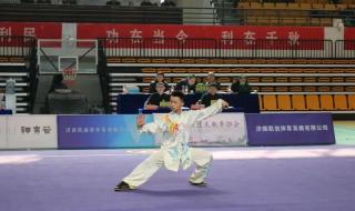 中国武术职业联赛 中国武术职业联赛