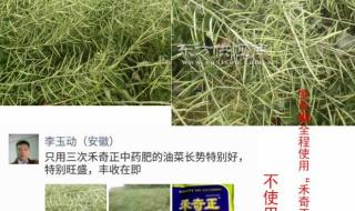 叶绿素叶面肥什么价格 叶面肥厂家报价