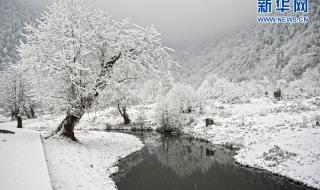 黑竹沟国家森林公园