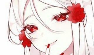 伴你月落星沉句子 陪你月落与星沉