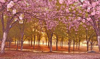 这场雨下了很久文案 你在我心里下了一场雨