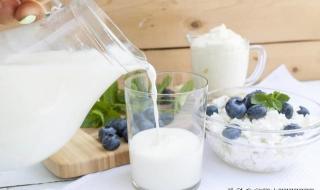 目前中国最好的牛奶 目前中国最好的牛奶