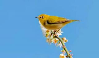 三月文案短句干净治愈 三月文案短句干净治愈