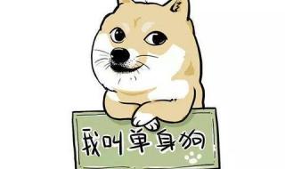 中国单身人口男性女性比例 中国单身人口超2亿