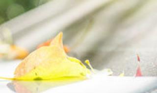 陈奕迅的英语名字是什么 陈奕迅经典歌词网名