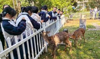 浙江省衢州第一中学 浙江省衢州第一中学