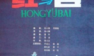 2024nba季后赛球队 2024nba季后赛球队