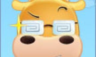 2012年欧洲杯冠军得主 2012德国欧洲杯冠军