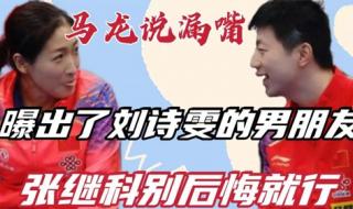 刘诗雯男朋友 刘诗雯有圈外男友了吗