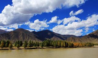 国际上怎样评价北京奥运会开幕式的 北京奥运会开幕式的所有音乐